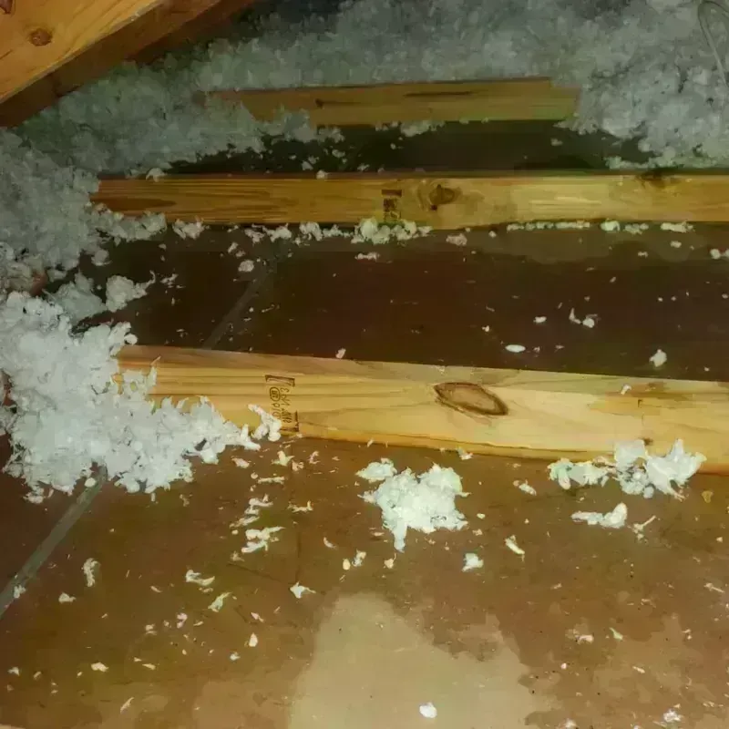 Attic Water Damage in Village Green, NY